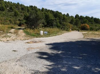 Percorso A piedi Cuges-les-Pins - vallon des martirs Riboux - Photo