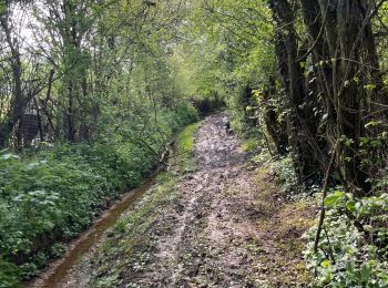 Trail Walking Aix-en-Issart - Sentier du paradis - Photo