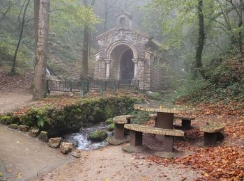 Excursión Senderismo Dourgne - Dourgne la Capelette retour officiel fait 2024 - Photo