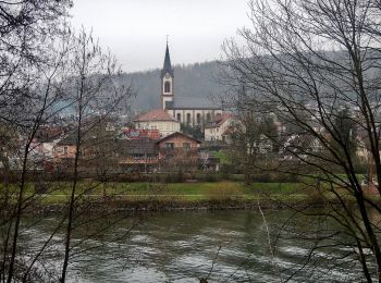 Excursión A pie Neckargerach - Rundwanderweg Guttenbach 1: Minneburg-Weg - Photo