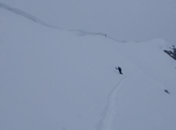 Tocht Ski randonnée Les Clefs - Col sud de la Tournette - Photo