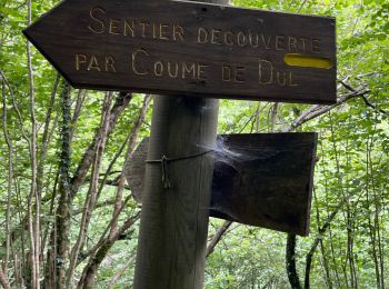 Trail Walking Bonac-Irazein - Sentier du port d’Orle - col du Tuc - Photo