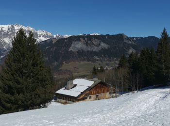 Trail Walking Crest-Voland - tour du mont lachat - Photo