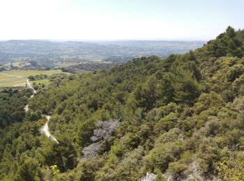 Randonnée Marche Piégon - petit sentier des géants par les cretes - Photo