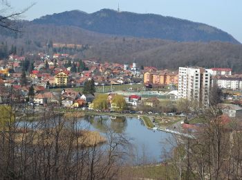 Trail On foot Brasov - Timișu de Jos - Cabana Postăvaru/Julius Romer - Brașov - Photo