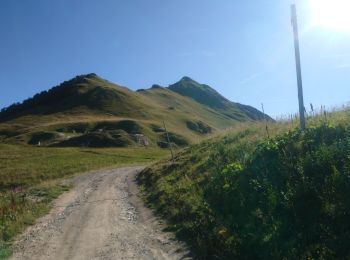 Trail Walking Les Avanchers-Valmorel - Valmorel Tour des deux Nielard - Photo