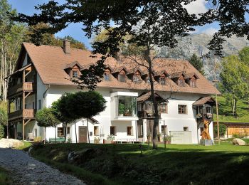 Randonnée A pied Liezen - Weißenbacher Rundwanderweg - Photo