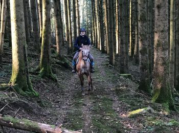 Trail Horseback riding Fougerolles-Saint-Valbert - Le Sarcenot 1h30 à pied - Photo
