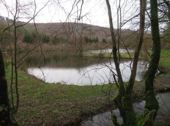 Excursión Senderismo Les Mazures - Vielles Forges 13-02-20 jeudi - Photo