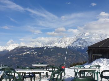 Tour Schneeschuhwandern Demi-Quartier - Combafort Combloux vers Mt d'Arbois - Photo