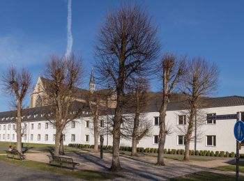 Trail On foot Odenthal - Hexenroute - Photo