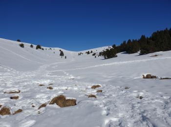 Excursión Esquí de fondo Manteyer - Tour de Ceuse - Photo