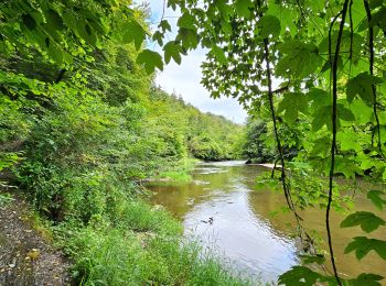 Randonnée Marche Florenville - Le Point de vue la Bohanan - Chassepierre - Photo