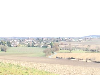 Randonnée Marche Saint-Séverin - Saint Séverin ( Le haut Dexmier) - Photo