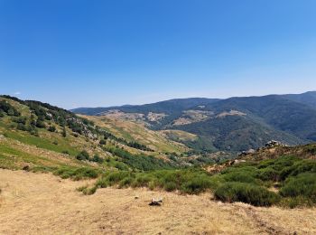 Excursión Senderismo Dourbies - Dourbies à Camprieu en boucle  - Photo