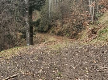 Trail Walking Malmerspach - balade en quad - Photo