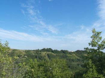 Randonnée A pied Montesegale - Anello Fornace Sud - Photo