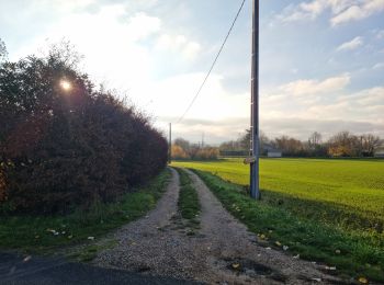 Tocht Stappen Mazangé - Bonaventure - Moulin de la Loupe - Photo