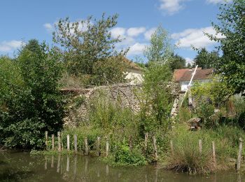 Tocht Te voet Dourdan - FR-PR 11 - Photo