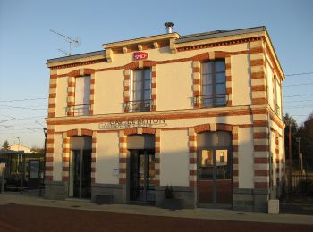 Tocht Te voet Betton - Randonnée du Bois de Betton - Photo