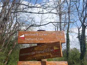 Trail Walking Val-Revermont - chapelle des conche.depart de montmerle et son observatoire  - Photo
