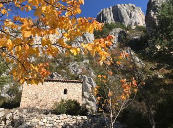 Randonnée Marche Castellane - Teillon - Photo