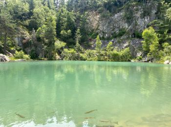 Percorso Marcia Champclause - Lac bleue  - Photo