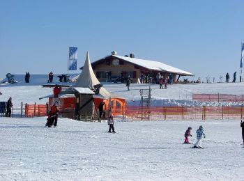 Tour Zu Fuß Buchenberg - Nordic Walking Fitness Route - Photo