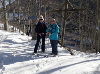 Trail Walking Château-Bernard - la soldanelle - Photo