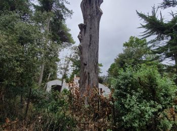 Excursión Senderismo La Guérinière - Rumba à noirmoutier - Photo