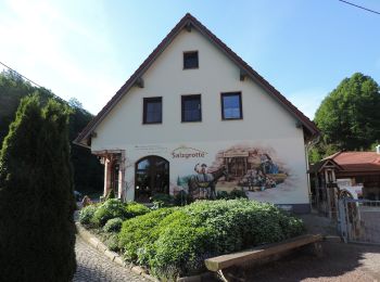 Tour Zu Fuß Limbach-Oberfrohna - Ww Limbach-O.-Bräunsdorf-Wolkenburg - Photo