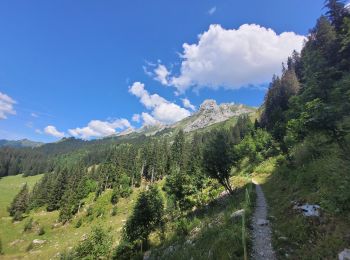 Percorso Marcia La Clusaz - rando lac tardevent aravis 20-072023 - Photo