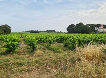 Tour Wandern Lunel - Lunel-Villetelle-Ambrussum - Photo