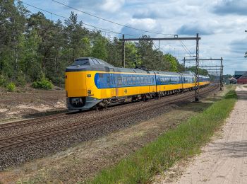Excursión A pie Rijssen-Holten - WNW Twente Look - oranje route - Photo