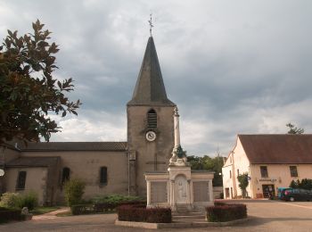 Tour Zu Fuß Montereau-Fault-Yonne - Les sentiers de la Préhistoire - Photo