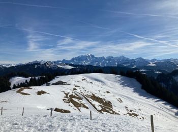 Randonnée Raquettes à neige La Giettaz - Col des Aravis - Photo