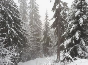 Tocht Sneeuwschoenen La Clusaz - 221210 pointe de beauregard - Photo