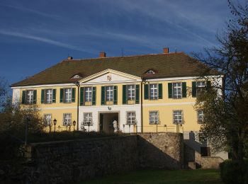 Percorso A piedi Altenthann - O 67 Kürn - Wolferszwinger Weiher (Rotes Rechteck) - Photo