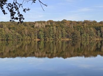 Tour Wandern Citers - 17-10-21 etang de la velle - Photo