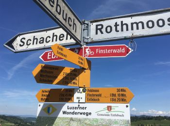 Randonnée A pied Entlebuch - Chlosterwald - Rengg - Photo