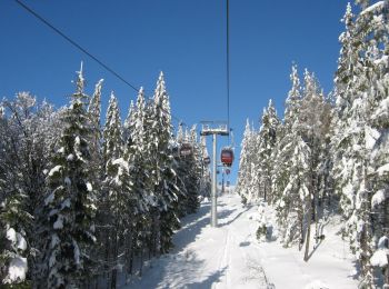 Percorso A piedi Fichtelberg - Fichtelberger Bergwerksweg - Photo