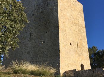 Tocht Stappen Puget-Ville - Terre blanche et tour du Faucon départ de Puget ville  - Photo