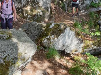 Trail Walking Le Valtin - Route des Roches. Schlucht-Hohneck - Photo