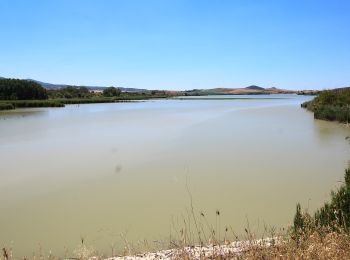 Tour Zu Fuß Santa Luce - Santa Luce - Lago di Santa Luce - Photo