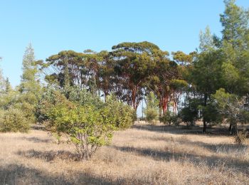 Percorso Marcia Δήμος Αγλαντζιάς - athalassa/ chemins de traverses - Photo