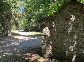 Tour Wandern Saint-Sauveur-Camprieu - Dourbies Camprieu boucle - Photo