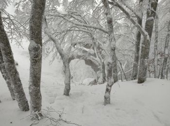 Randonnée Raquettes à neige Léoncel - echaillon 2021 - Photo