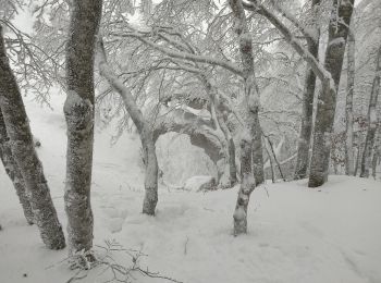 Tocht Sneeuwschoenen Léoncel - echaillon 2021 - Photo