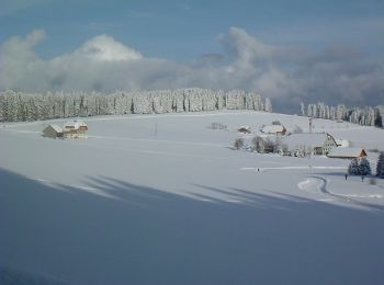 Excursión A pie St. Märgen - Panoramarundweg Thurner - Photo