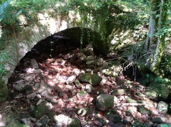 Tour Zu Fuß Neckargerach - Rundwanderweg Neckargerach 3: Läufertsmühlen-Weg - Photo